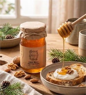 Çam Balı 460 gr. - Ballar