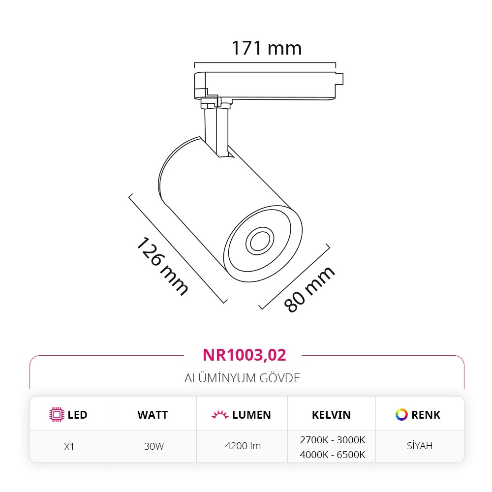 Nevo Dekoratif Ray Spot Siyah NR1003