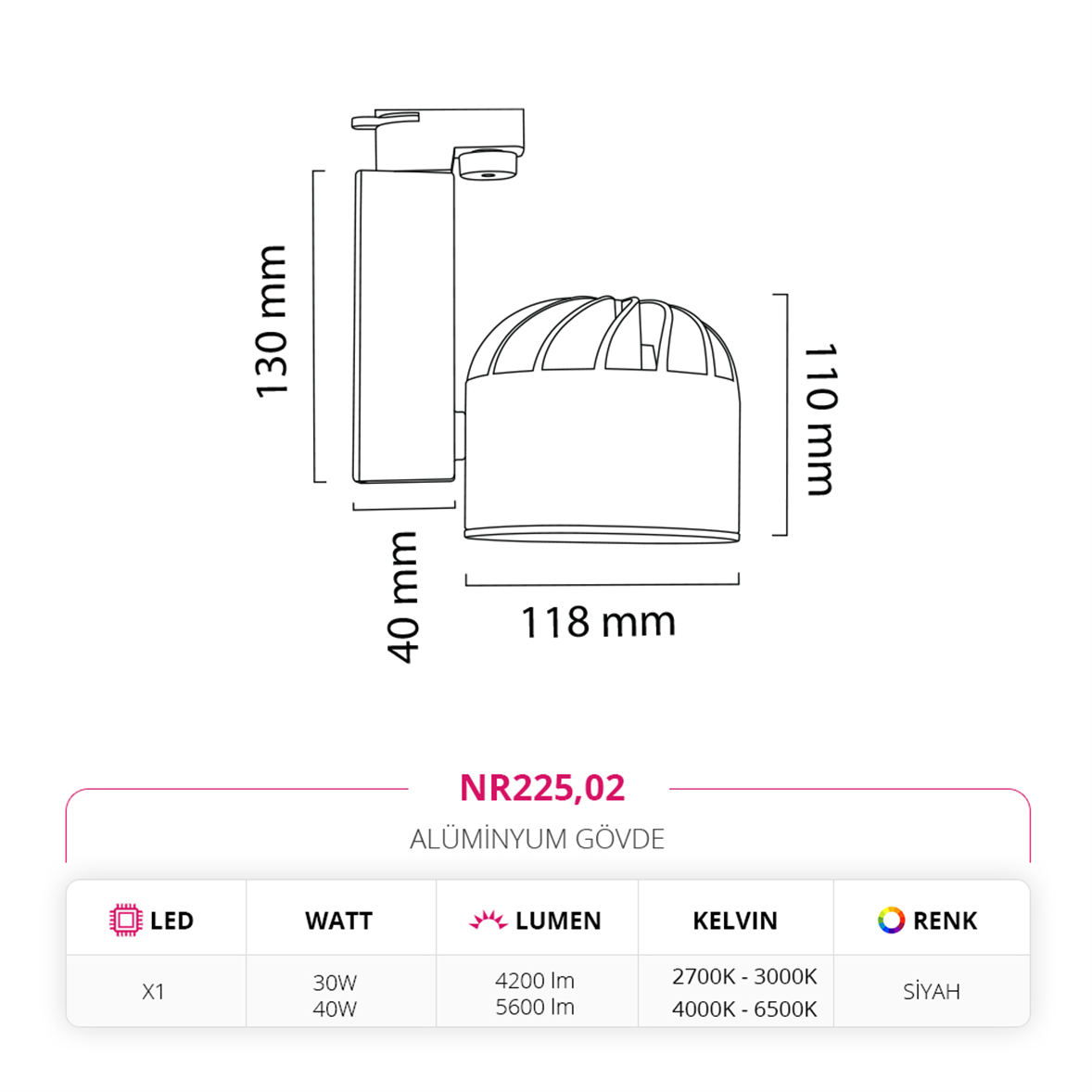 Nevo Dekoratif Ray Spot Siyah NR225