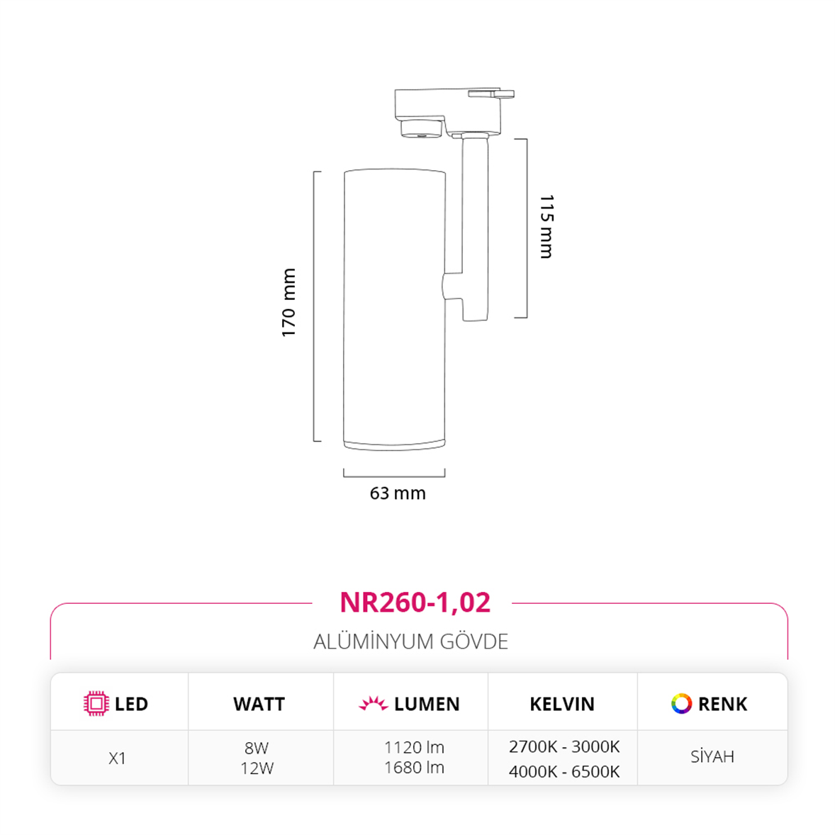 Nevo Dekoratif Ray Spot Siyah NR260-1