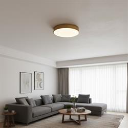 Nevo 30 Cm Sıva Üstü Ledli Tavan Armatürü Eskitme NS120