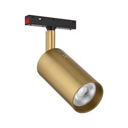 Nevo 48V Magnet Ray Spot Eskitme NMA280-2