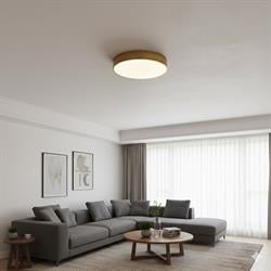Nevo 50 Cm Sıva Üstü Ledli Tavan Armatürü Eskitme NS120-2