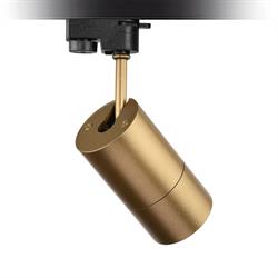 Nevo Dekoratif Ray Spot Gold Boyalı NR324