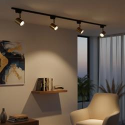 Nevo Dekoratif Ray Spot Gold Boyalı NR325