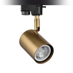 Nevo Dekoratif Ray Spot Gold Boyalı NR325
