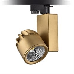 Nevo Dekoratif Ray Spot Gold Boyalı NR251