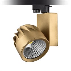 Nevo Dekoratif Ray Spot Gold Boyalı NR215