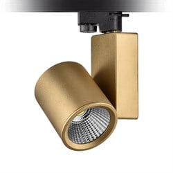 Nevo Dekoratif Ray Spot Gold Boyalı NR252