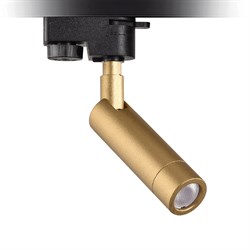 Nevo Dekoratif Ray Spot Gold NR341