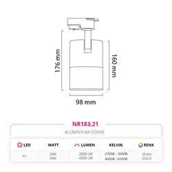 Nevo Dekoratif Ray Spot Siyah Gold NR183