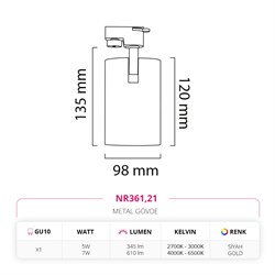 Nevo Dekoratif Ray Spot Siyah Gold NR361