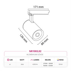 Nevo Dekoratif Ray Spot Siyah NR1003