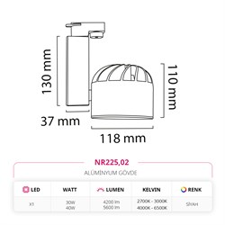 Nevo Dekoratif Ray Spot Siyah NR225