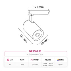 Nevo Dekoratif Ray Spot Beyaz NR1003