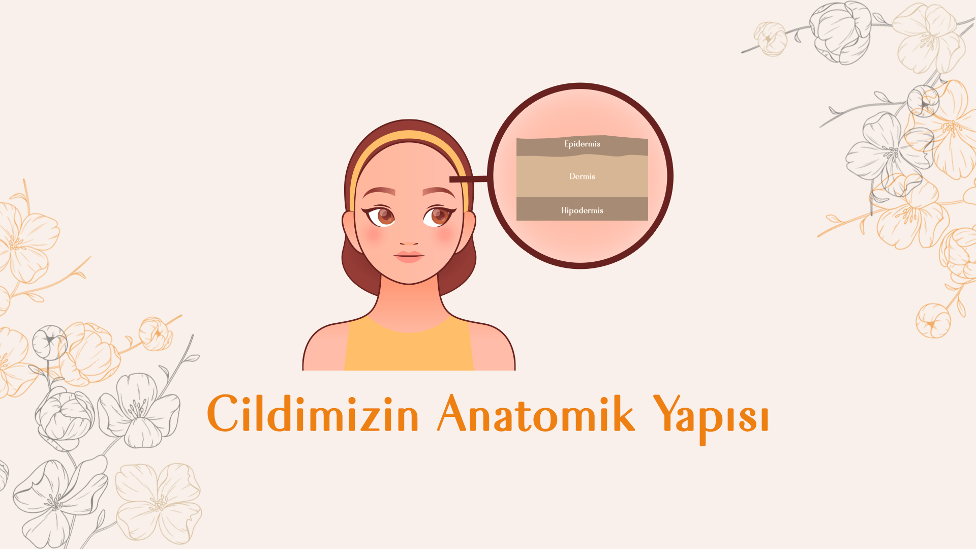 Cildimizin Anatomik Yapısı