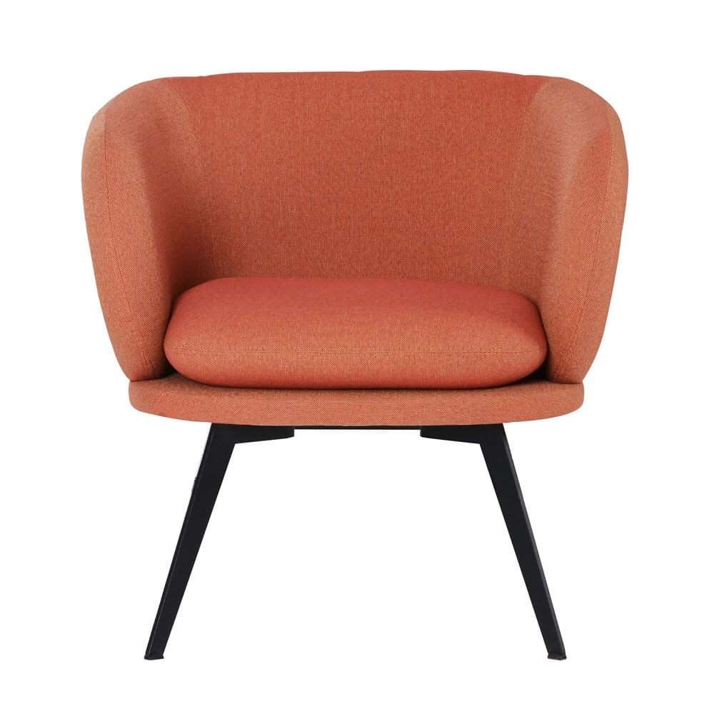 Seduna Ferri Berjer | Metal Ayaklı Tekli Kanepe