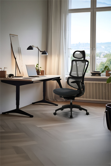 Seduna Evora Premium Black Ofis Koltuğu | Yönetici Koltuğu