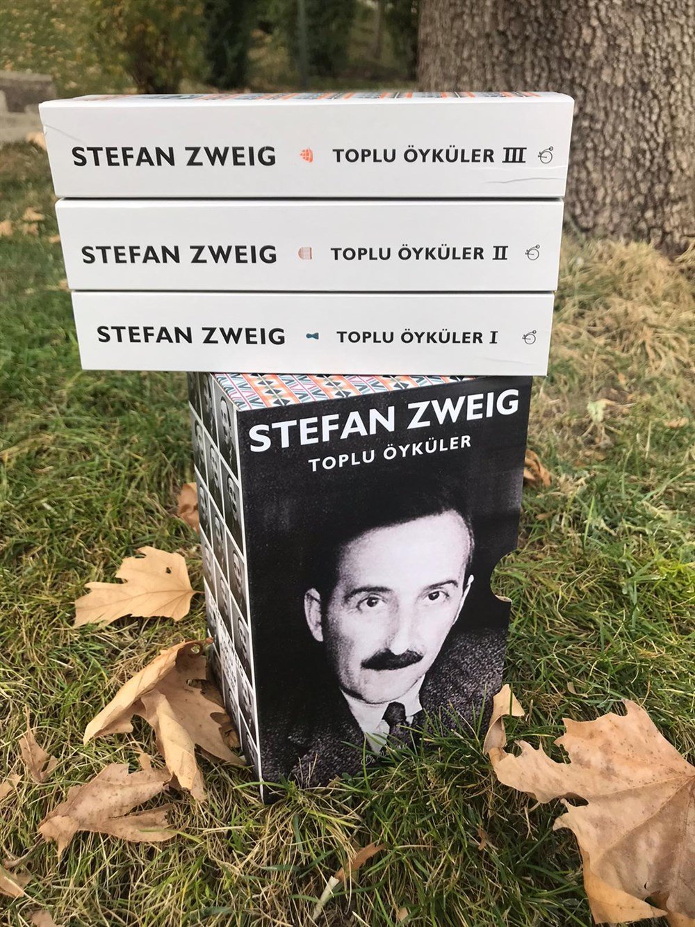 Mahzen YayınlarıStefan Zweig Öykü Seti