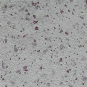 ROMA 7005