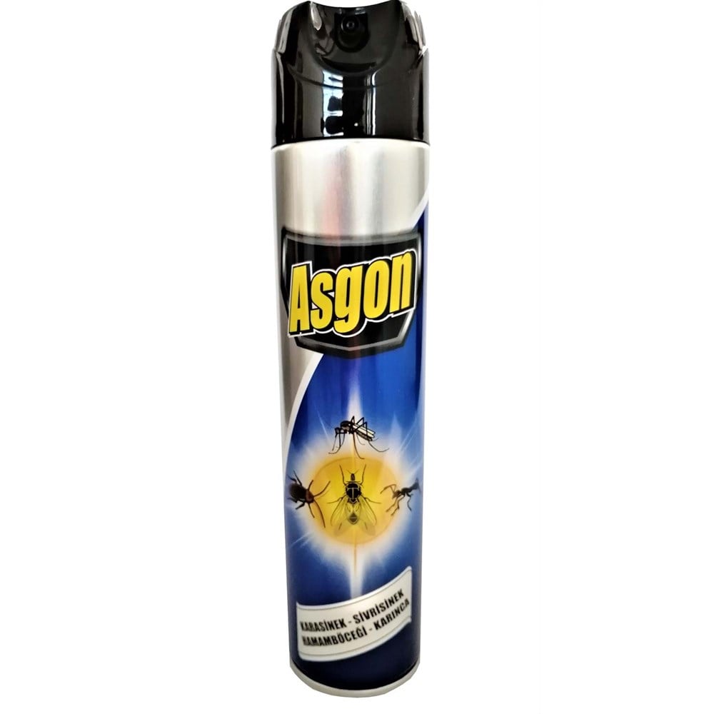 ASGON SİNEK-BÖCEK İLACI 300 ML