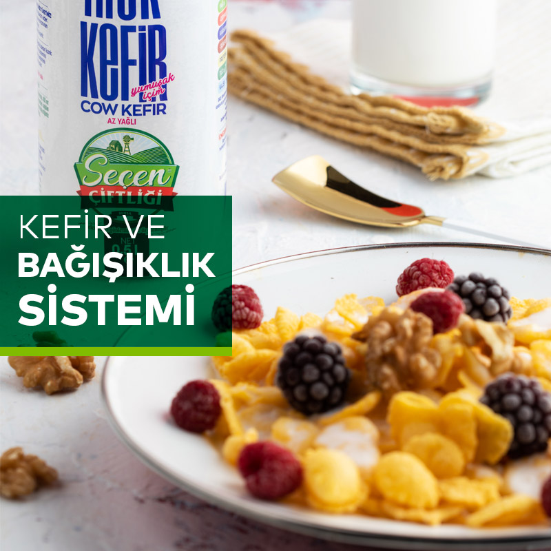 kefir-bagisiklik-sistemini-nasil-etkiler