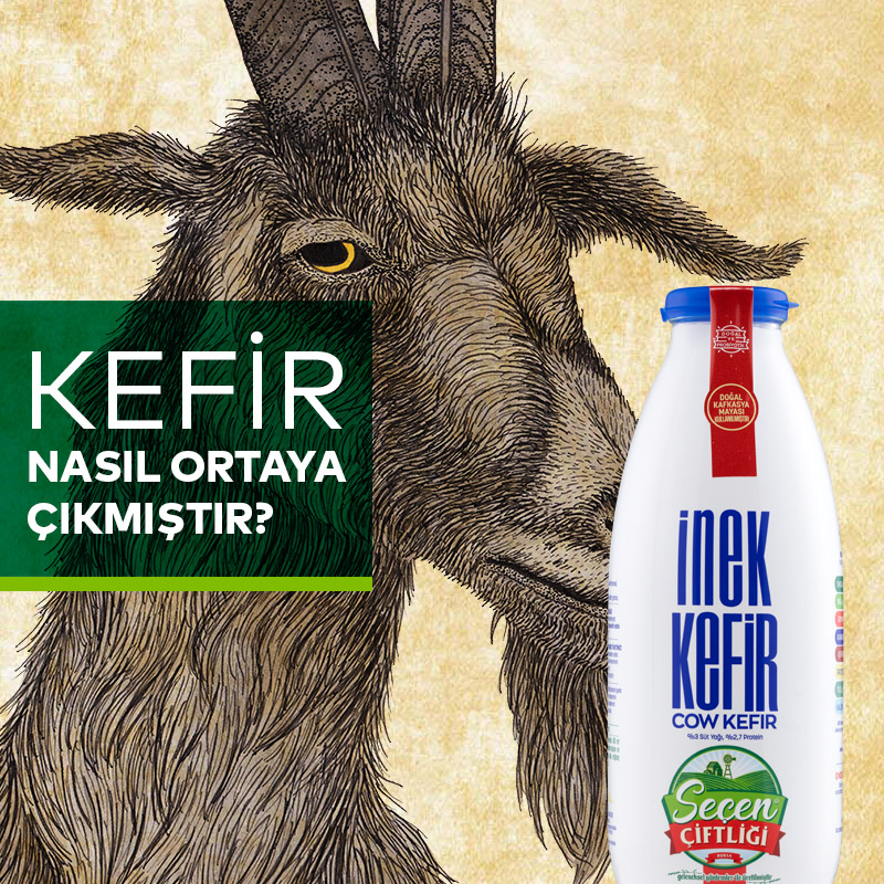 Kefir Nasıl Ortaya Çıkmıştır? Faydaları Nelerdir?