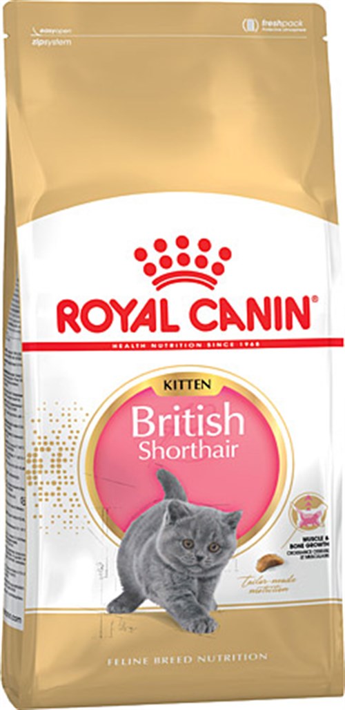 Royal Canin British Shorthair Kitten 2 Kg Yavru Kuru Kedi Maması-mamayolda
