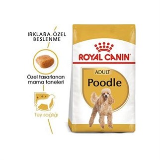Royal Canin Poodle Yetişkin Köpek Maması 3 Kg-mamayolda