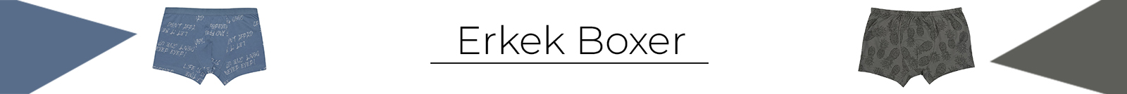 Erkek Boxer