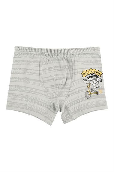 Donella 10lu Renkli Scooter Baskılı Erkek Çocuk Boxer - 751264B
