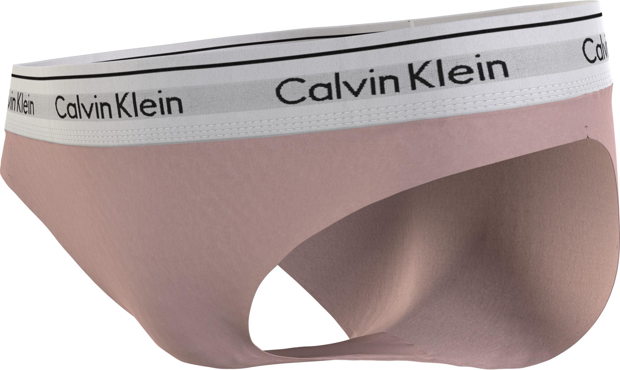 Calvin Klein Underwear Modern Cotton Bikini Nymph's Thigh 