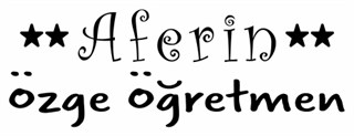 T004 Öğretmen Damgası