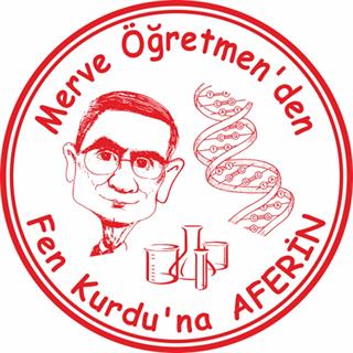 T080 Öğretmen Damgası