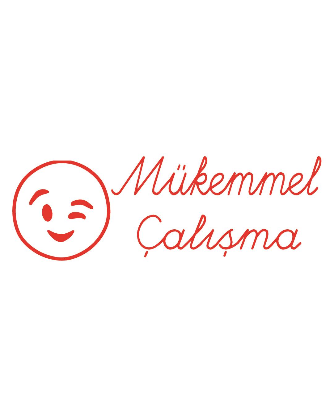 T001 Öğretmen Damgası