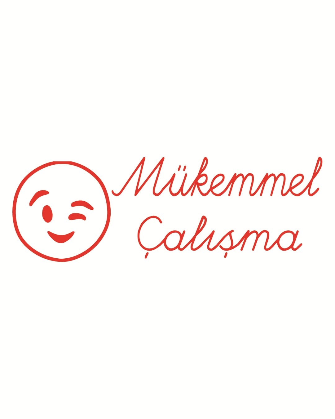 T001 Öğretmen Damgası