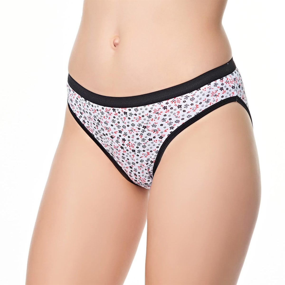 Külot, String, TangaTutku 6'lı Paket 0514 Dilara Desenli Bayan Elastan Bikini Külot