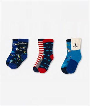 ÇorapKöpek Balığı Desenli Kışlık Erkek Bebek 6'lı Paket Havlu Soket Çorap