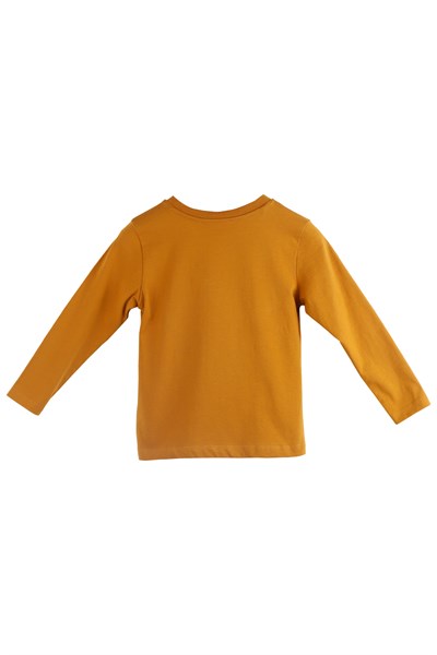 Taba Renkli Pul Payetli Erkek Çocuk Tişört-BK 218526 |Silversunkids-T-Shirt