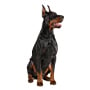 Doberman