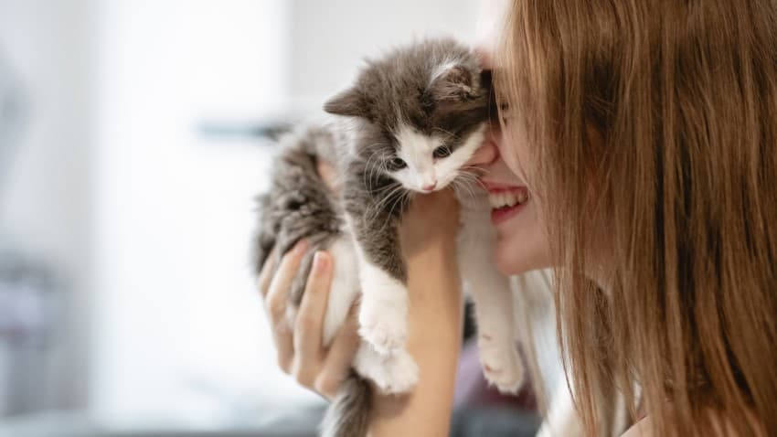 Kedileri Sevmek İnsanlara ve Kedilere Ne Gibi Yararlar Sağlar?