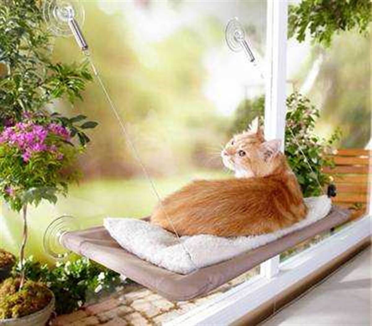 гамак для кошек на окно своими руками