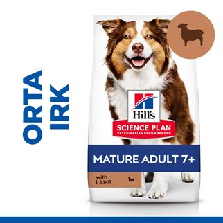 Hills Mature +7 Kuzu Etli Yaşlı Köpek Maması 2.5 Kg, Yaşlı Köpek Maması, Hills
