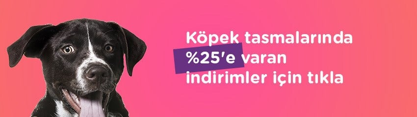 kahraman köpekler