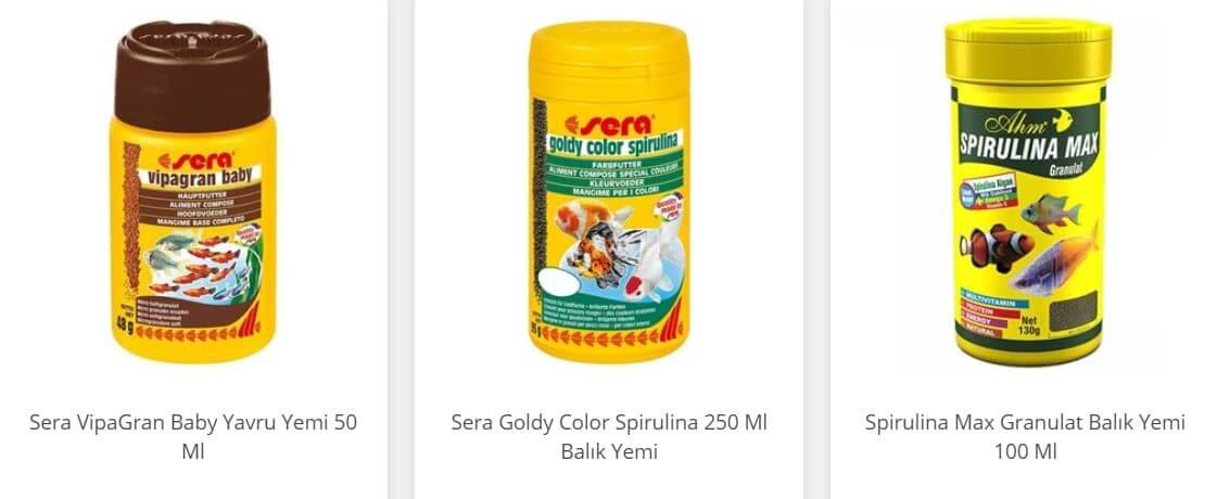 sarı prenses balığı üreme
