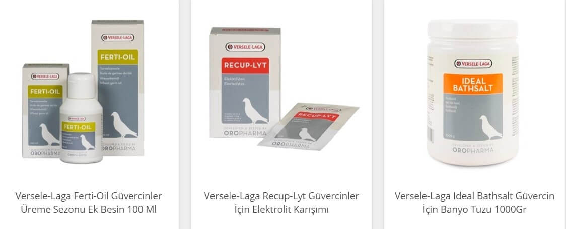 güvercin