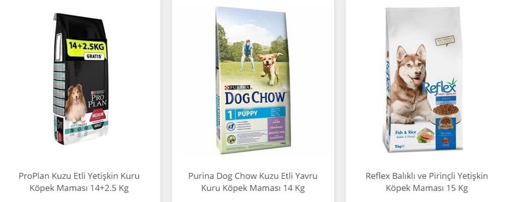köpekler neden eşyaları saklar
