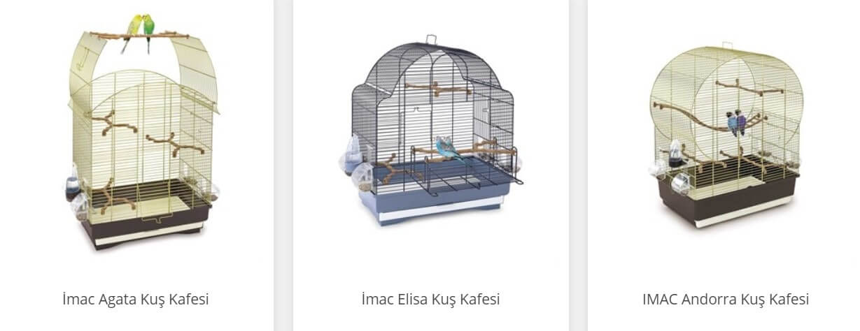 hint bülbülü