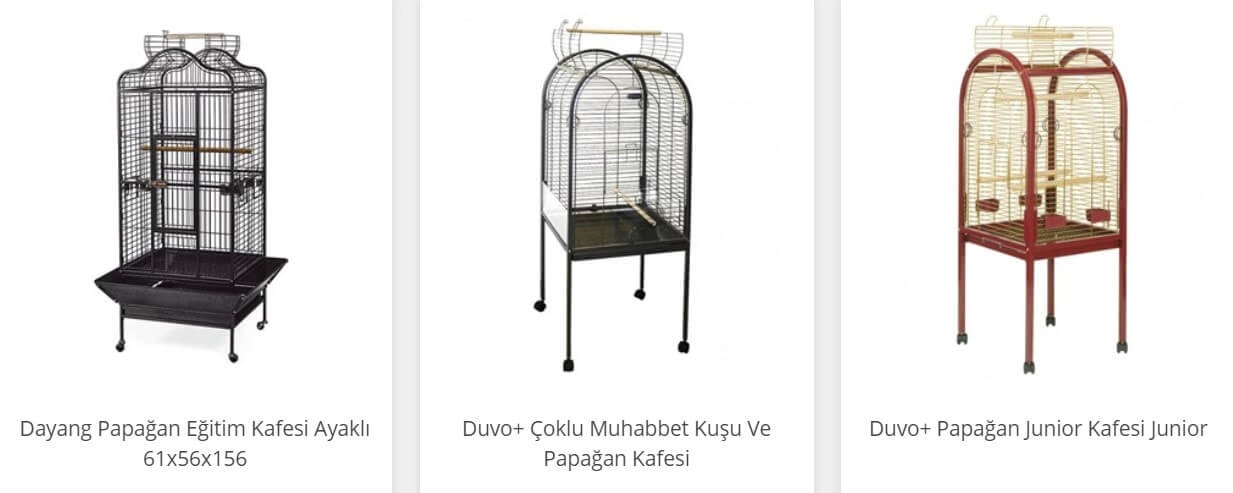 konuşan papağan