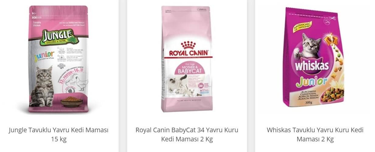 kedilerin hamilelik süresi